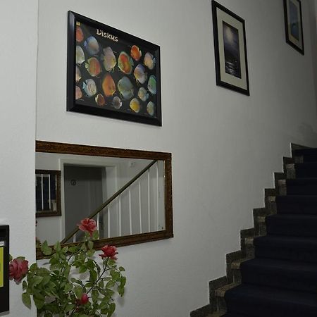 Itm Hotel Oase 함브루크 외부 사진